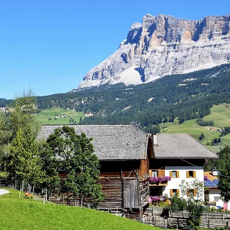 Chalet Funtanacia-2